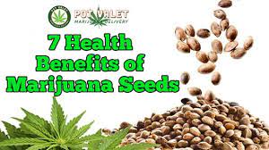 Marijuana Seeds Have Some Health Benefits